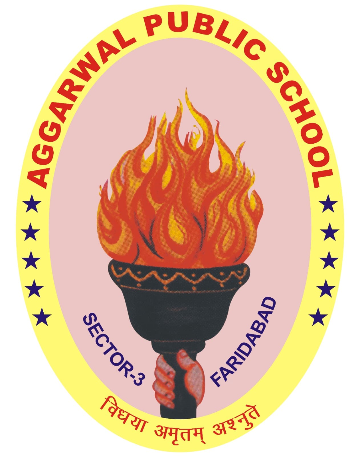 Aggarwal Public School Logo